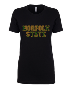 College - HBCU - Norfolk State