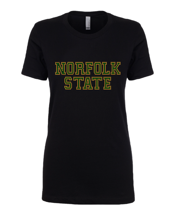 College - HBCU - Norfolk State